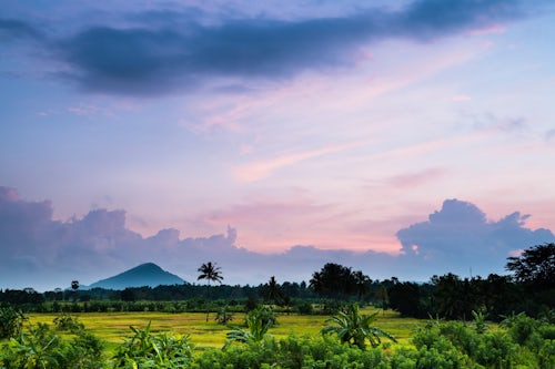 Sri Lanka Landscape Photography Sri Lanka landscape at sunrise paddy fields near Dambulla Central Province Sri Lanka Asia