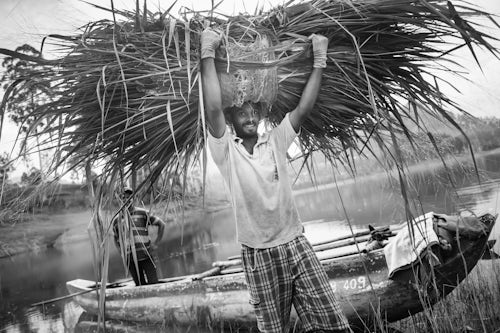 Sri Lanka Portrait Travel Photography Portrait of a farmer working in the Nuwara Eliya District Sri Lanka Central Highlands Sri Lanka Asia