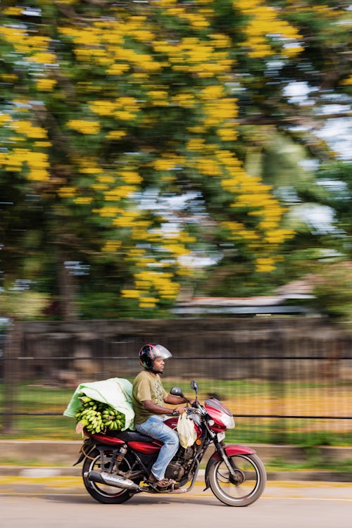 Sri Lanka Travel Photography Moped speeding on the streets of Negombo carrying bananas West Coast Sri Lanka Asia
