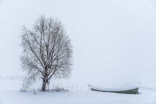 Landscape Photography by Professional Freelance UK Landscape Photographer Bleak misty minimalist white winter landscape covered in snow near Akaslompolo Finnish Lapland Finland
