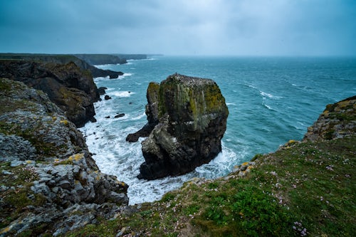 Landscape Photography by Professional Freelance UK Landscape Photographer Elegug Stacks occupied by a colony of Guillemots Pembrokeshire Coast National Park Wales United Kingdom